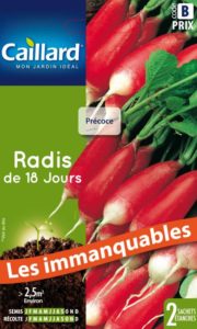 radis-de-18-jours